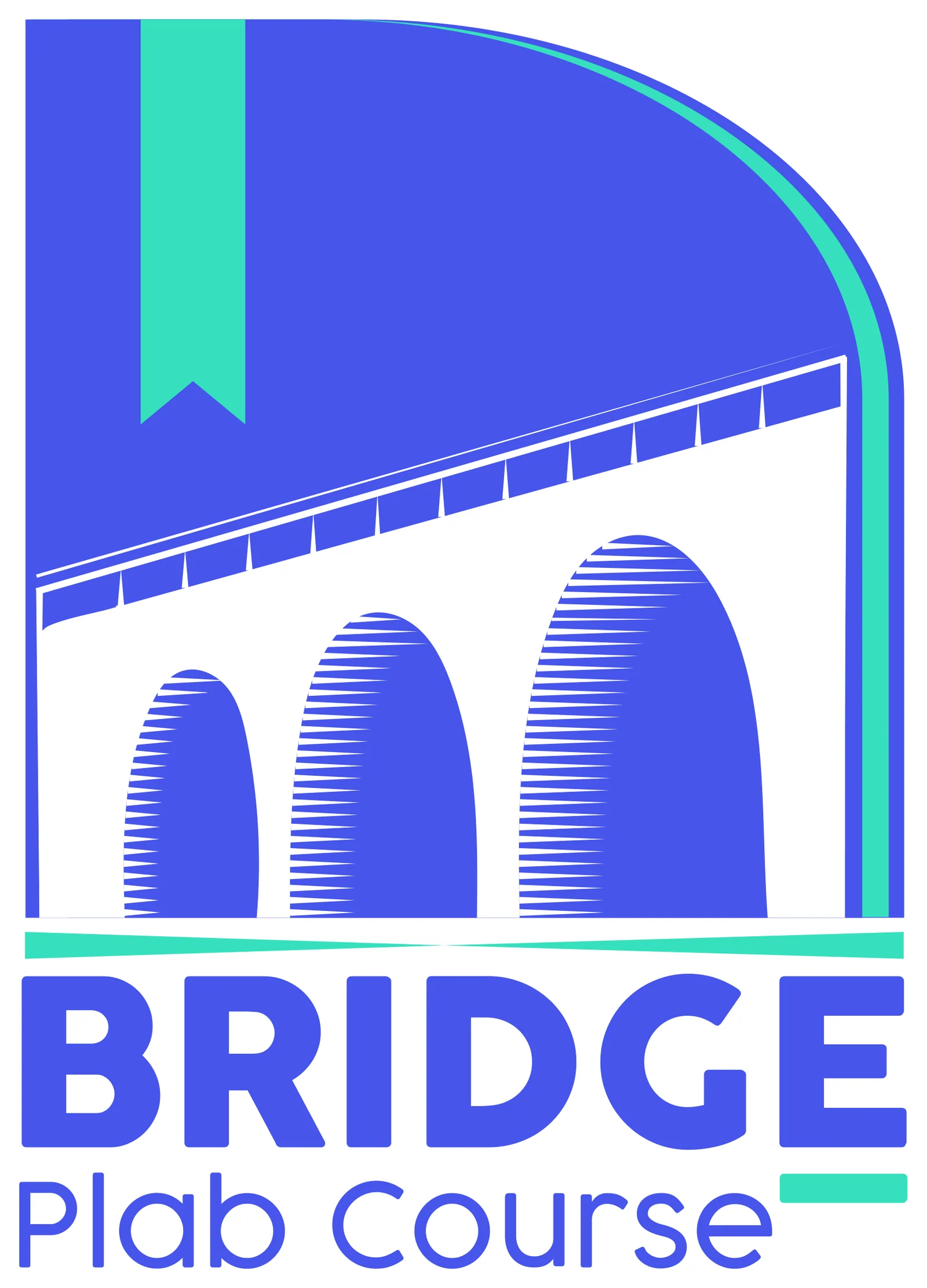 PLABridge - الهوية الرأسية